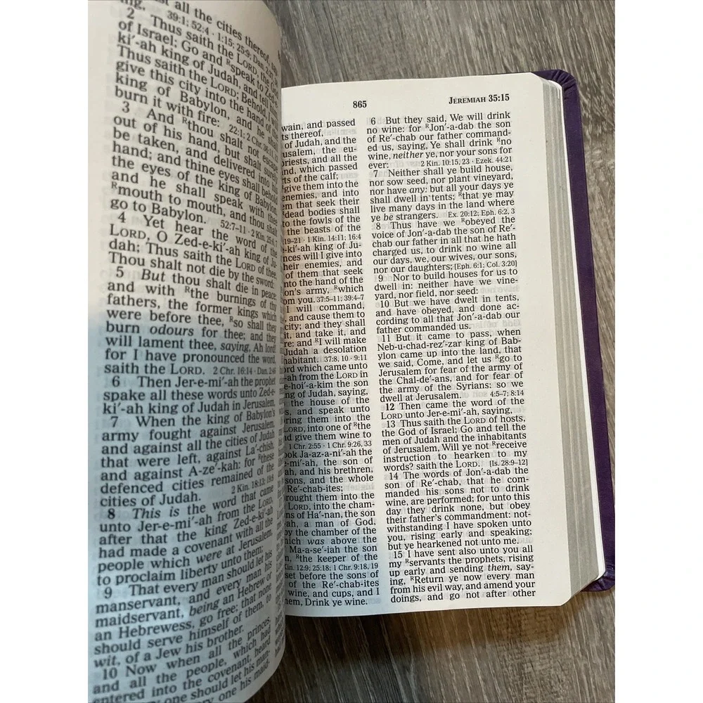 KJV Holy Bible by Thomas Nelson (2003, Leathersoft, Giant Print Edition 837816)